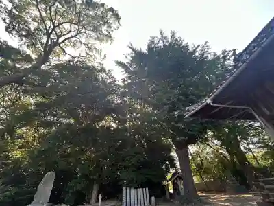 浮嶋神社(愛媛県)