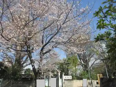 永寿院(東京都)