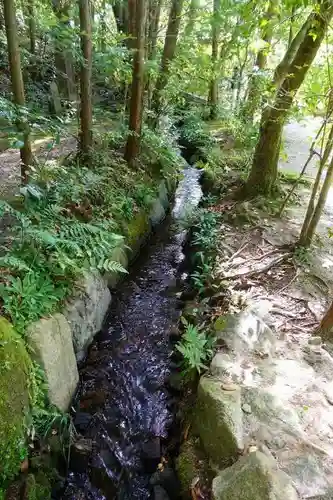 円成寺の庭園