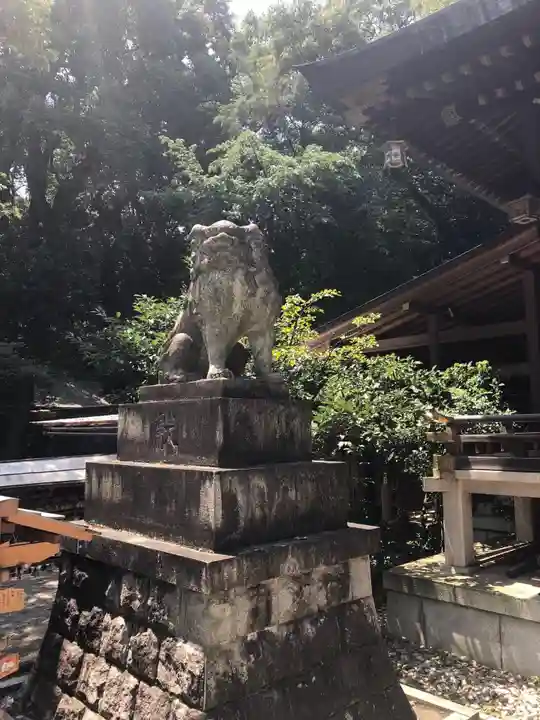 大宮八幡宮の狛犬