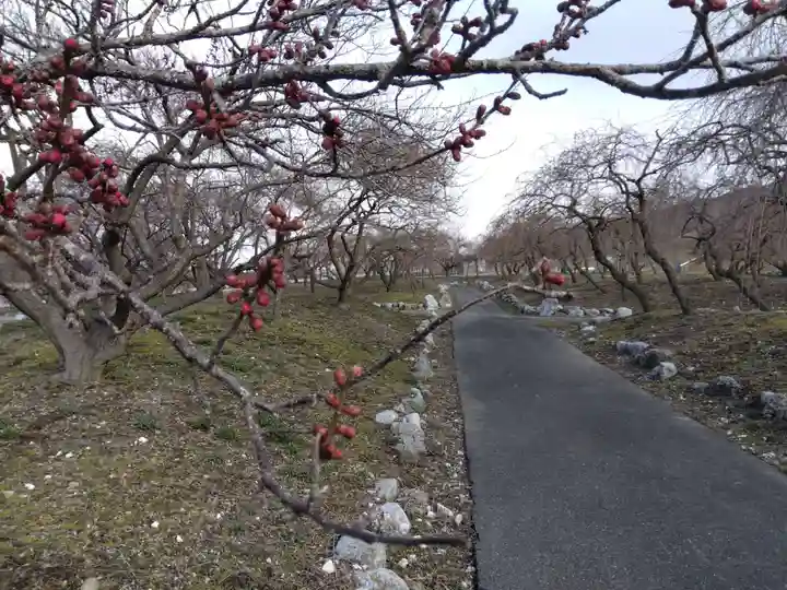 竜雲寺(三重県)