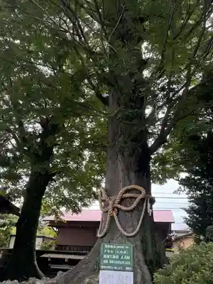 出雲大社相模分祠(神奈川県)