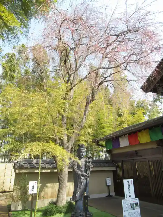 真光寺(千葉県)