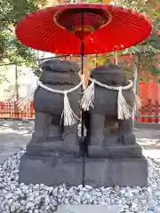 浅草神社の狛犬