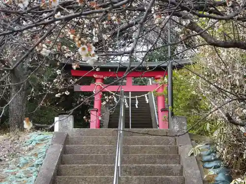 天満宮の自然
