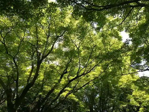 東福禅寺（東福寺）の自然