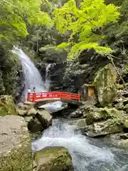 大本山七宝瀧寺の景色