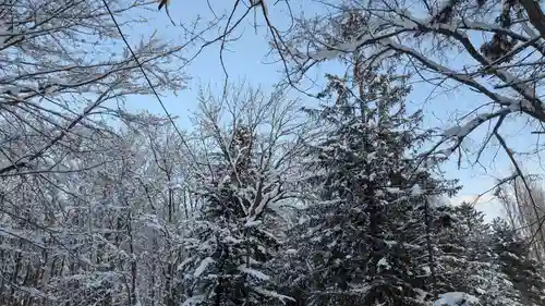 神楽神社の自然