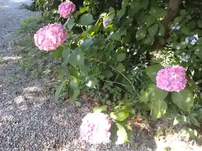 東沼神社の自然