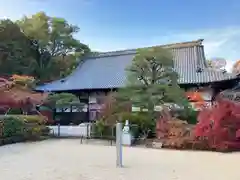 井山 宝福寺(岡山県)