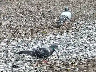 阿邪訶根神社(福島県)