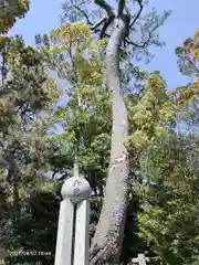 寒川神社の建物その他