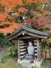 本土寺(千葉県)