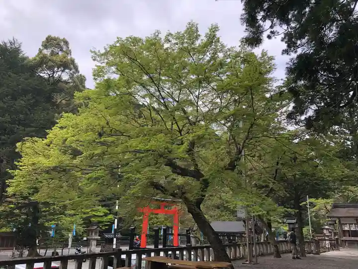 丹生川上神社(中社)の自然