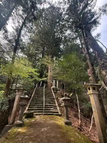  川上山若宮八幡宮の{uncategorized: "未分類", other: "その他", undefined: "問題あり", building: "その他建物", grave: "お墓", sacred_gate: "鳥居", guardian: "狛犬", statue: "像", buddha: "仏像", history: "歴史", nature: "自然", garden: "庭園", animal: "動物", pagoda: "塔", temizu: "手水舎", mountain_gate: "山門・神門", sanctuary: "本殿・本堂", subordinate: "末社・摂社", art: "芸術", scenery: "景色", jizo: "地蔵", ema: "絵馬", goshuin: "御朱印", omikuji: "おみくじ", items: "授与品その他", amulet: "お守り", goshuincho: "御朱印帳", eats: "食事", festival: "お祭り", votive_dance: "神楽", shichigosan: "七五三参", wedding: "結婚式", experience: "体験その他", initially: "初詣", around: "周辺", anti_infection: "感染症対策"}