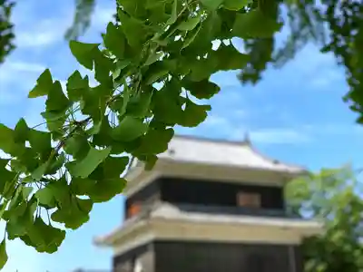 眞田神社のその他建物