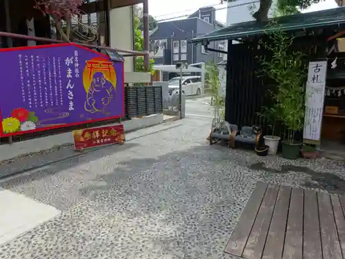 菊名神社の動物