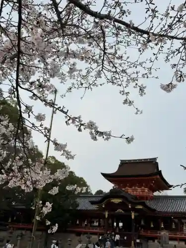 石清水八幡宮の{uncategorized: "未分類", other: "その他", undefined: "問題あり", building: "その他建物", grave: "お墓", sacred_gate: "鳥居", guardian: "狛犬", statue: "像", buddha: "仏像", history: "歴史", nature: "自然", garden: "庭園", animal: "動物", pagoda: "塔", temizu: "手水舎", mountain_gate: "山門・神門", sanctuary: "本殿・本堂", subordinate: "末社・摂社", art: "芸術", scenery: "景色", jizo: "地蔵", ema: "絵馬", goshuin: "御朱印", omikuji: "おみくじ", items: "授与品その他", amulet: "お守り", goshuincho: "御朱印帳", eats: "食事", festival: "お祭り", votive_dance: "神楽", shichigosan: "七五三参", wedding: "結婚式", experience: "体験その他", initially: "初詣", around: "周辺", anti_infection: "感染症対策"}