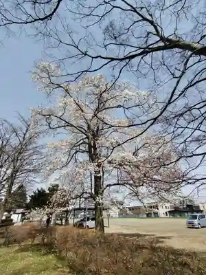 厚別神社(北海道)