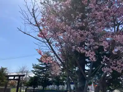 江南神社(北海道)