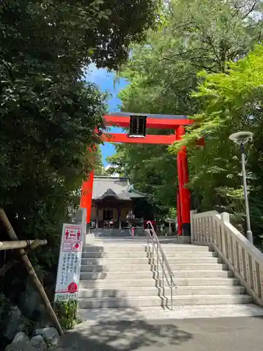 白笹稲荷神社の鳥居