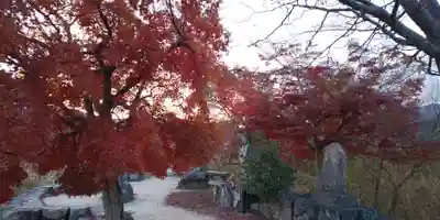 壹美白辨財天社のその他建物