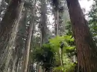 大宮温泉神社(栃木県)