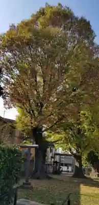 五北天祖神社の自然