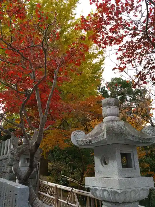 紅葉八幡宮の自然