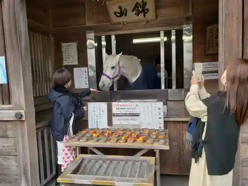 多度大社(三重県)