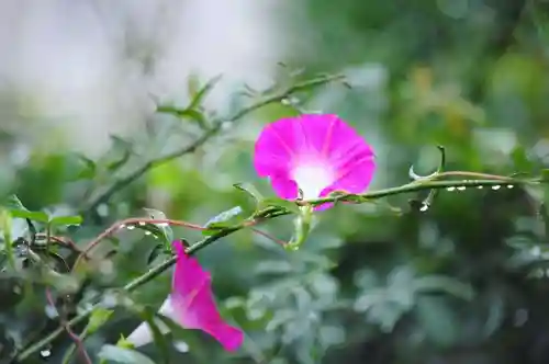 浄土寺(兵庫県)