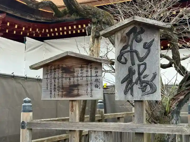 太宰府天満宮(福岡県)