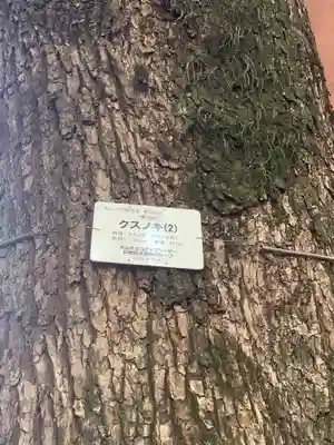 専念寺(愛知県)