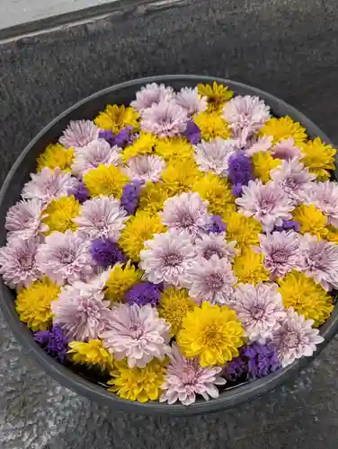 鹿島台神社(宮城県)