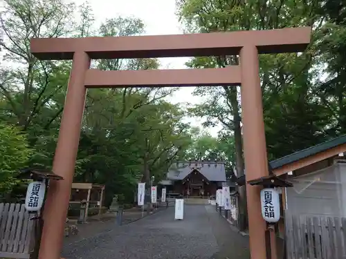 旭川神社の鳥居