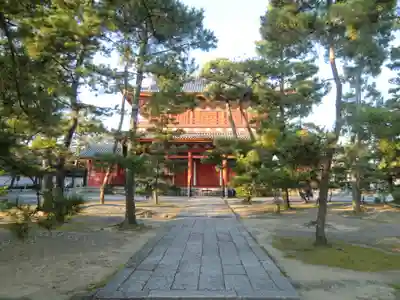 妙心寺（妙心禅寺）(京都府)