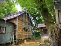 飯笠山神社(長野県)