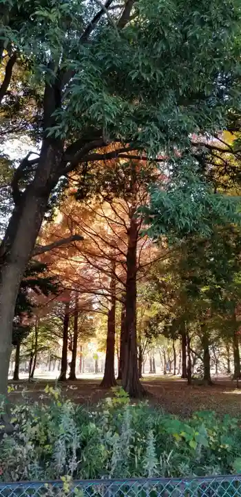徳島稲荷神社(埼玉県)