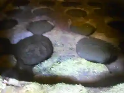 海蔵寺のその他建物