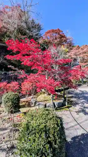 長谷寺(奈良県)