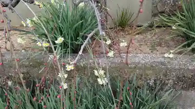 太春寺(大阪府)