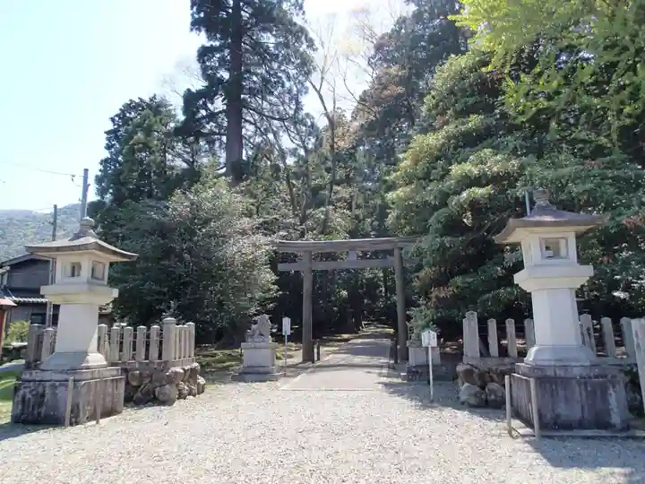 若狭彦神社(上社)の鳥居