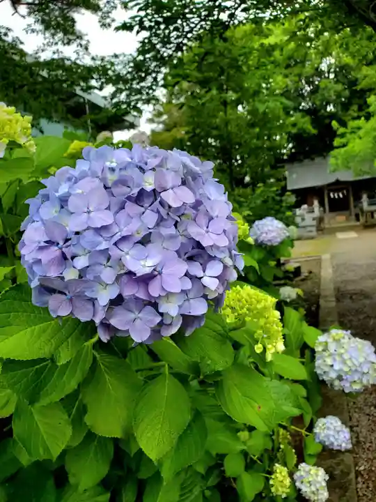 開成山大神宮(福島県)