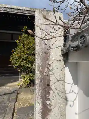 願正寺(京都府)