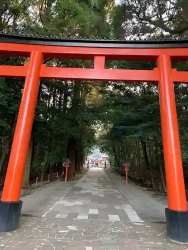 霧島神宮の鳥居