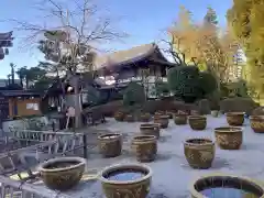 金剛院の建物その他