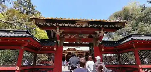 根津神社の山門・神門