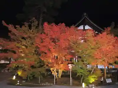 高台寺（高台寿聖禅寺・高臺寺）(京都府)