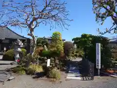 長善寺の庭園