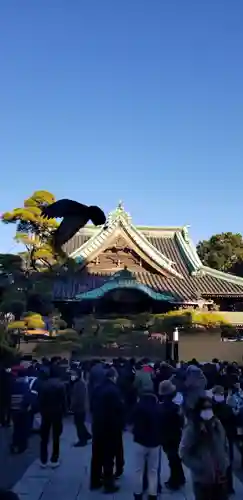 題経寺（柴又帝釈天）のその他建物